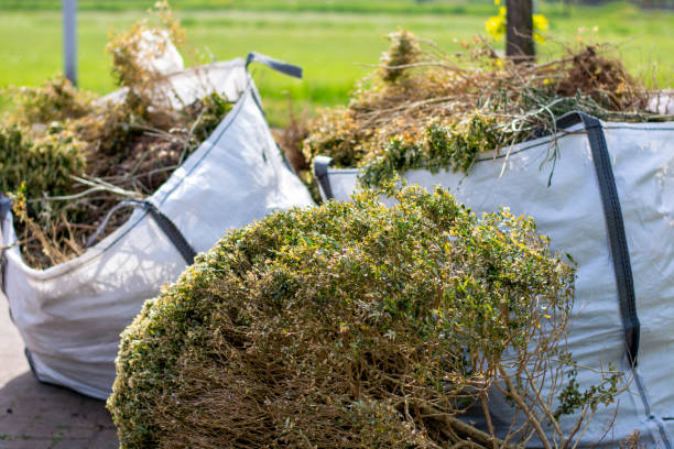 Best Construction Debris Removal  in Bethany, IL
